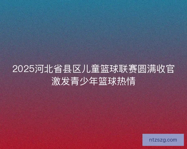 2025河北省县区儿童篮球联赛圆满收官激发青少年篮球热情