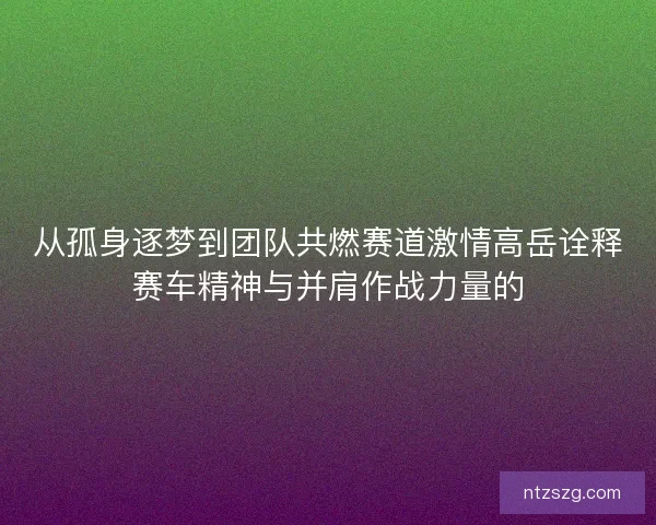 从孤身逐梦到团队共燃赛道激情高岳诠释赛车精神与并肩作战力量的